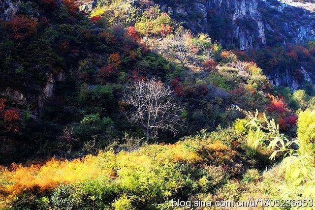 邯郸涉县庄子岭