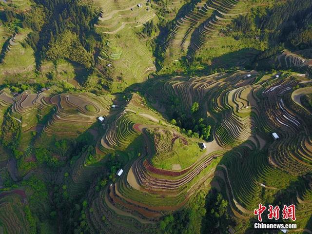 形态各异的梯田,从空中鸟瞰,犹如大地的指纹,美不胜收.