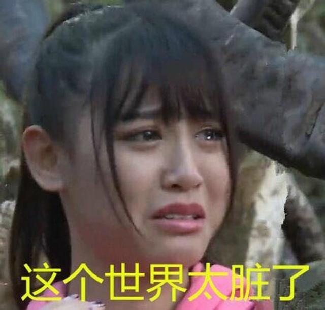 snh48女团表情包走红 网友:这是要上天