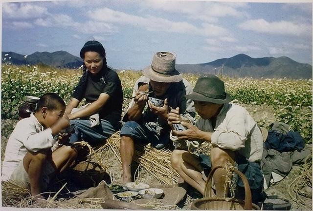 12 在田间歇息吃饭的农民一家人(艾伦·拉森 摄)