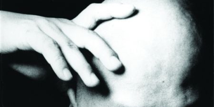 国产动画《卖猪》网络走红