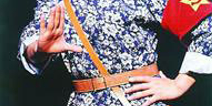 《洪湖赤卫队》经典歌曲带热电视剧收视(图)