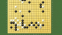 罗洗河9子秒杀人工智能