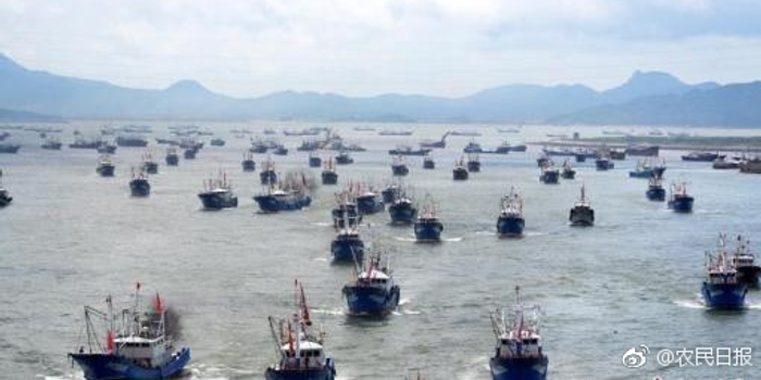 中国渔政亮剑2018九大专项执法行动