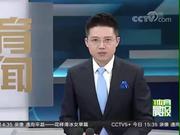 视频-侯逸凡卡尔波夫上演冰上国象 指导冰城爱好者