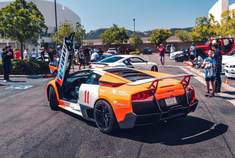 Lamborghini Hurcan Porsche GT3 Audi R8 那只狗是什么品种