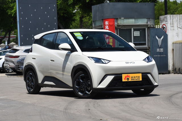 2025款海鸥 305km 自由版