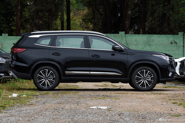 2025款瑞虎8 PRO 290T 两驱尊贵版