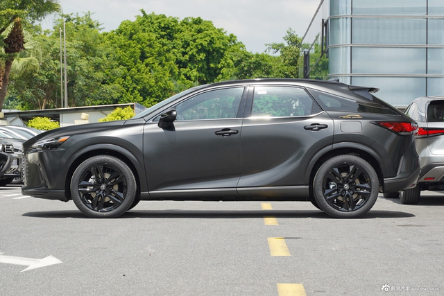2026款雷克萨斯RX 300 四驱Black Edition