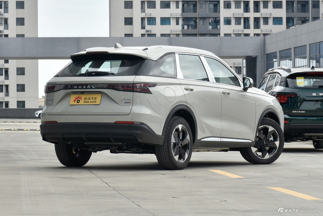 2025款枭龙MAX Hi4 110 Plus 智驾版