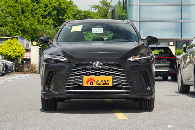 2026款雷克萨斯RX 300 四驱Black Edition