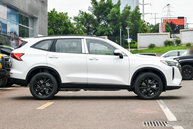 2024款新一代哈弗H6 2.0T 两驱Max