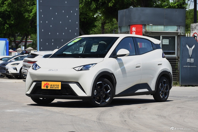 2025款海鸥 305km 自由版