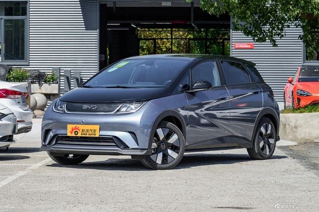 2025款海豚 520km 骑士版