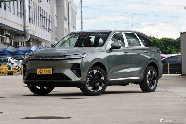 2025款枭龙MAX Hi4 110 Pro