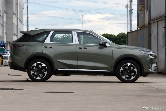 2025款枭龙MAX Hi4 110 Pro