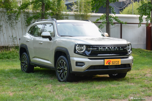 2026款哈弗大狗PLUS Hi4