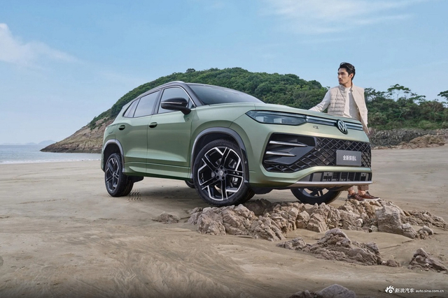 2025款探岳L官图