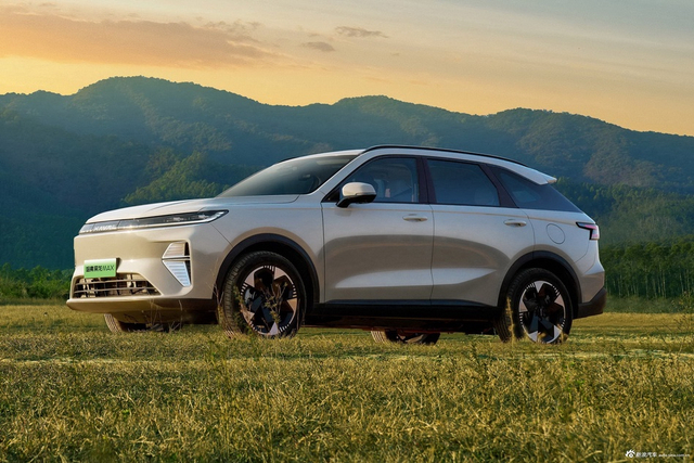 2025款枭龙MAX 1.5L Hi4 高配型 官图