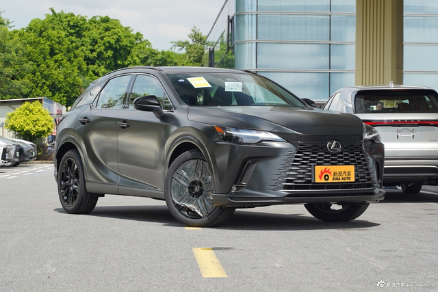2026款雷克萨斯RX 300 四驱Black Edition