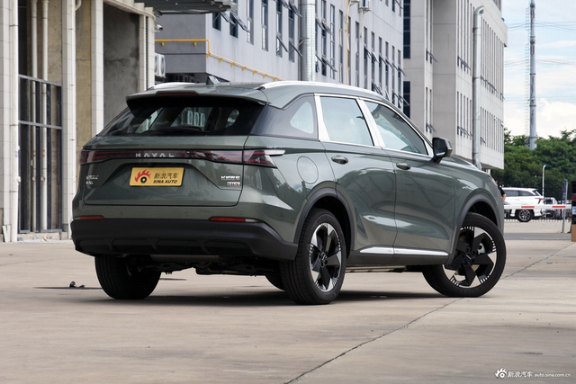 2025款枭龙MAX Hi4 110 Pro