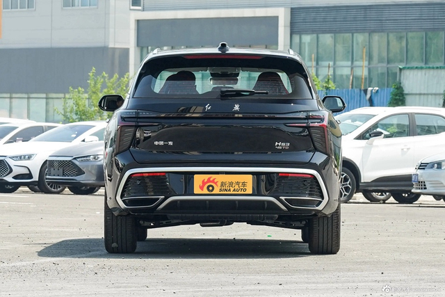 2023款红旗HS3 2.0T 两驱可为版