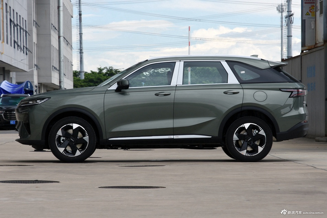 2025款枭龙MAX Hi4 110 Pro