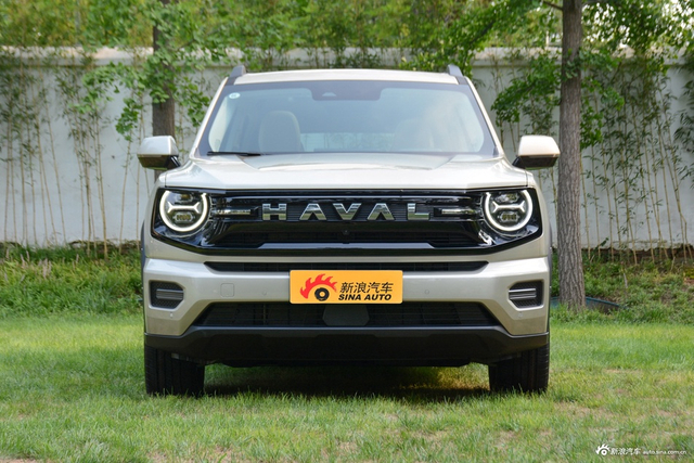 2026款哈弗大狗PLUS Hi4