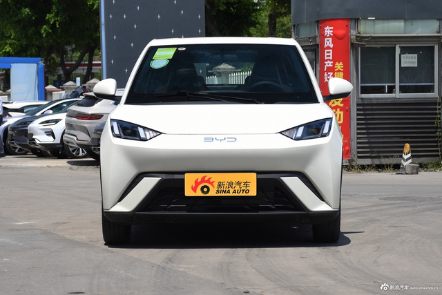 2025款海鸥 305km 自由版