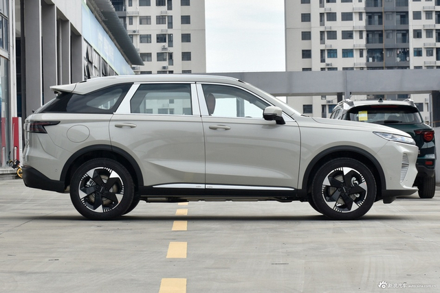 2025款枭龙MAX Hi4 110 Plus 智驾版