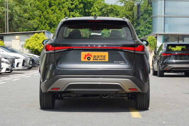 2026款雷克萨斯RX 300 四驱Black Edition