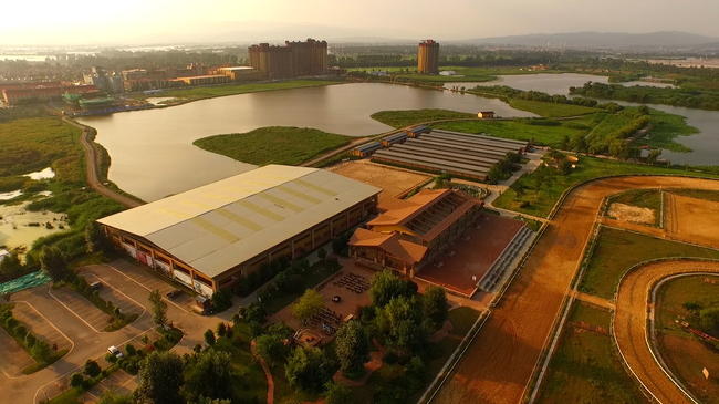 新浪杯未来之星承办地：双料马场中信莱德嘉丽泽马会