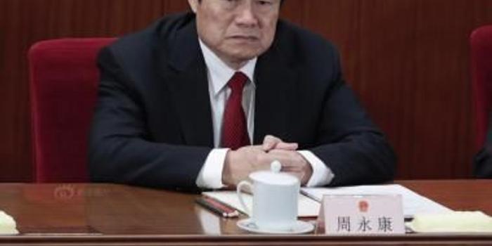 复旦法学院长:即使没有周永康案也要深化法治