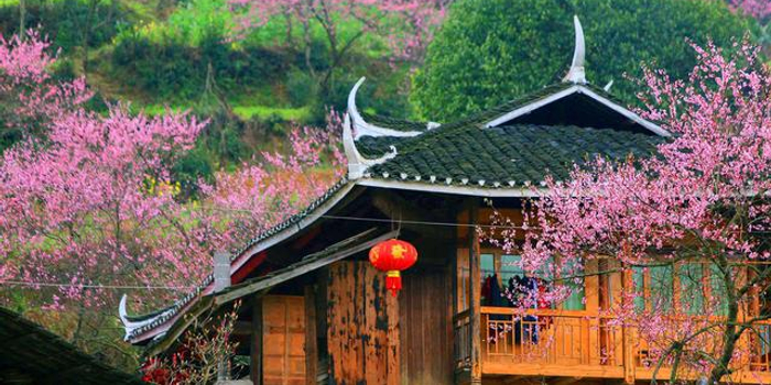 芜湖:湾沚桃园村变身美丽"桃花源"