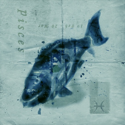 双鱼座身上技能点满满