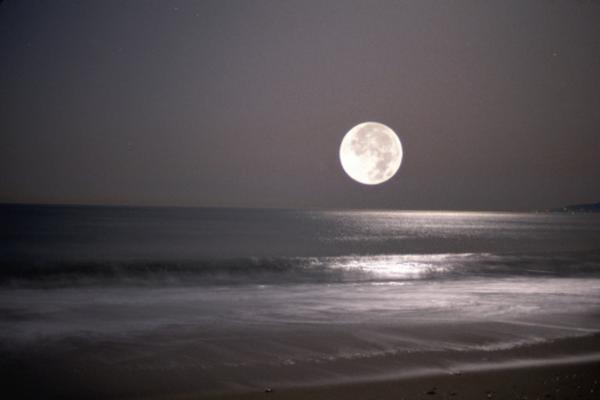 11月14日金牛座满月的影响