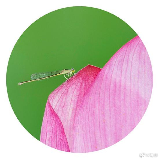 经云：「一切因果，世界微尘，因心成体。」（摄影：海朝）