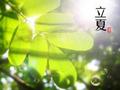 立夏：12属相怎样开运？