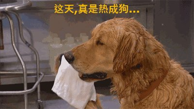 夏日情绪也会出现“中暑”