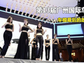 第13届广州国际车展 车模幕后的故事