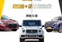 盘点|新浪年度车2019 最具实力的重磅热门车型