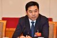 人大代表王连春:建议汽车产业融入“双循环”