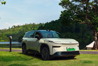 2025年铂智3X全年销量70008台