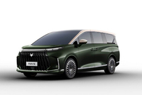 北汽极狐公布高端产品系列问道 首款MPV定名问道V9