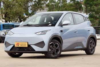 海鸥 智驾版飞翔版