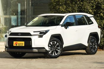 RAV4荣放 两驱豪华版