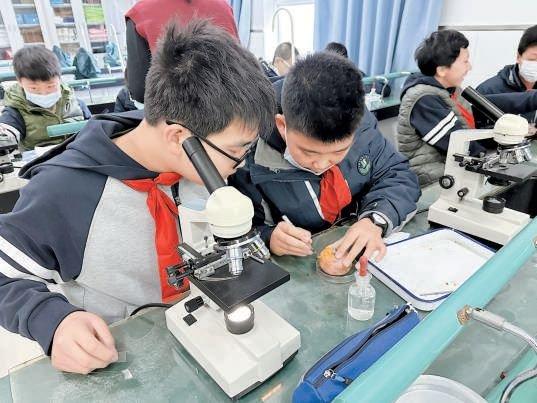 生物课上，学生们在解剖柿子制作玻片。