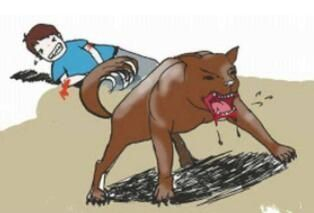 网络配图