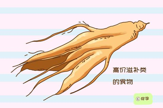 高价滋补类食物