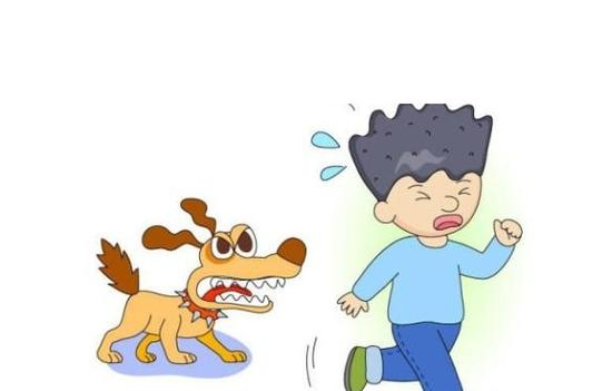 7岁男童上学路上遭3烈犬撕咬 与狗相遇怎么做